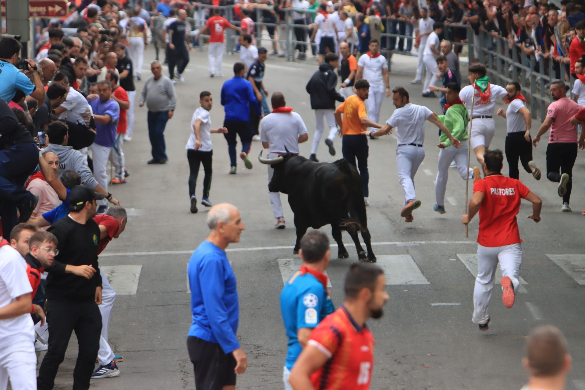 Fotos del quinto y último encierro de Cuéllar (3 de 3)