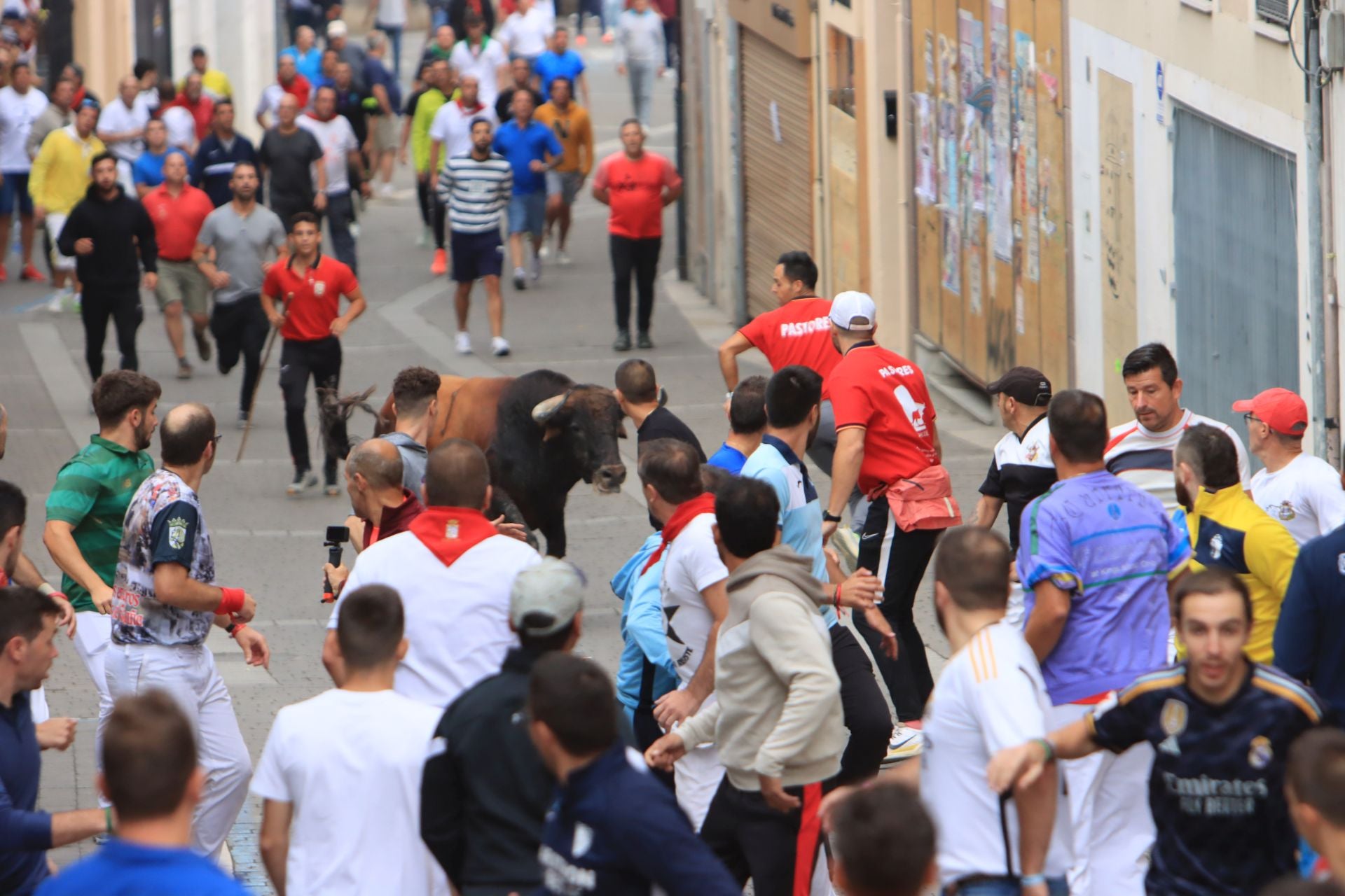 Fotos del quinto y último encierro de Cuéllar (3 de 3)