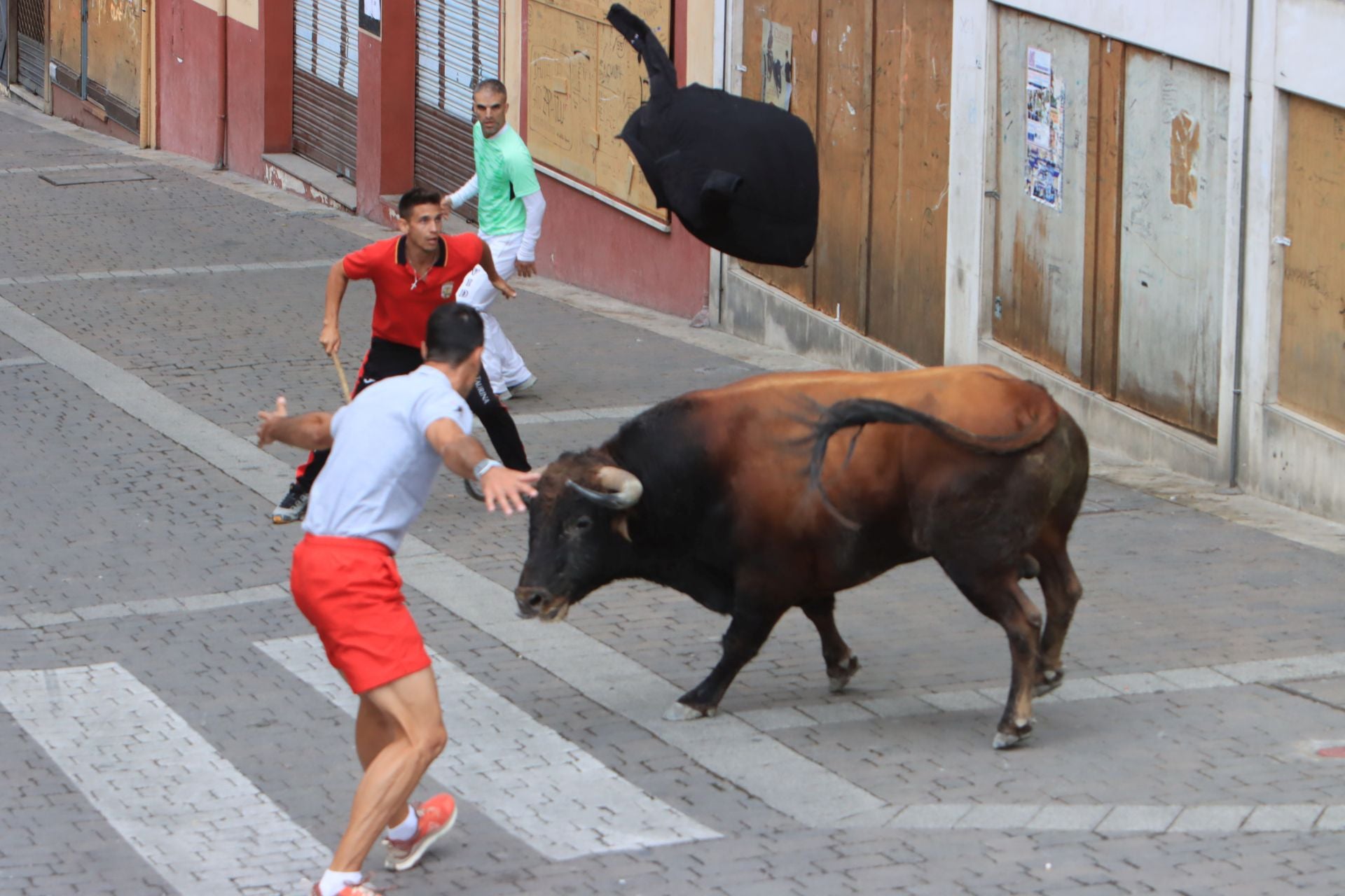 Fotos del quinto y último encierro de Cuéllar (3 de 3)