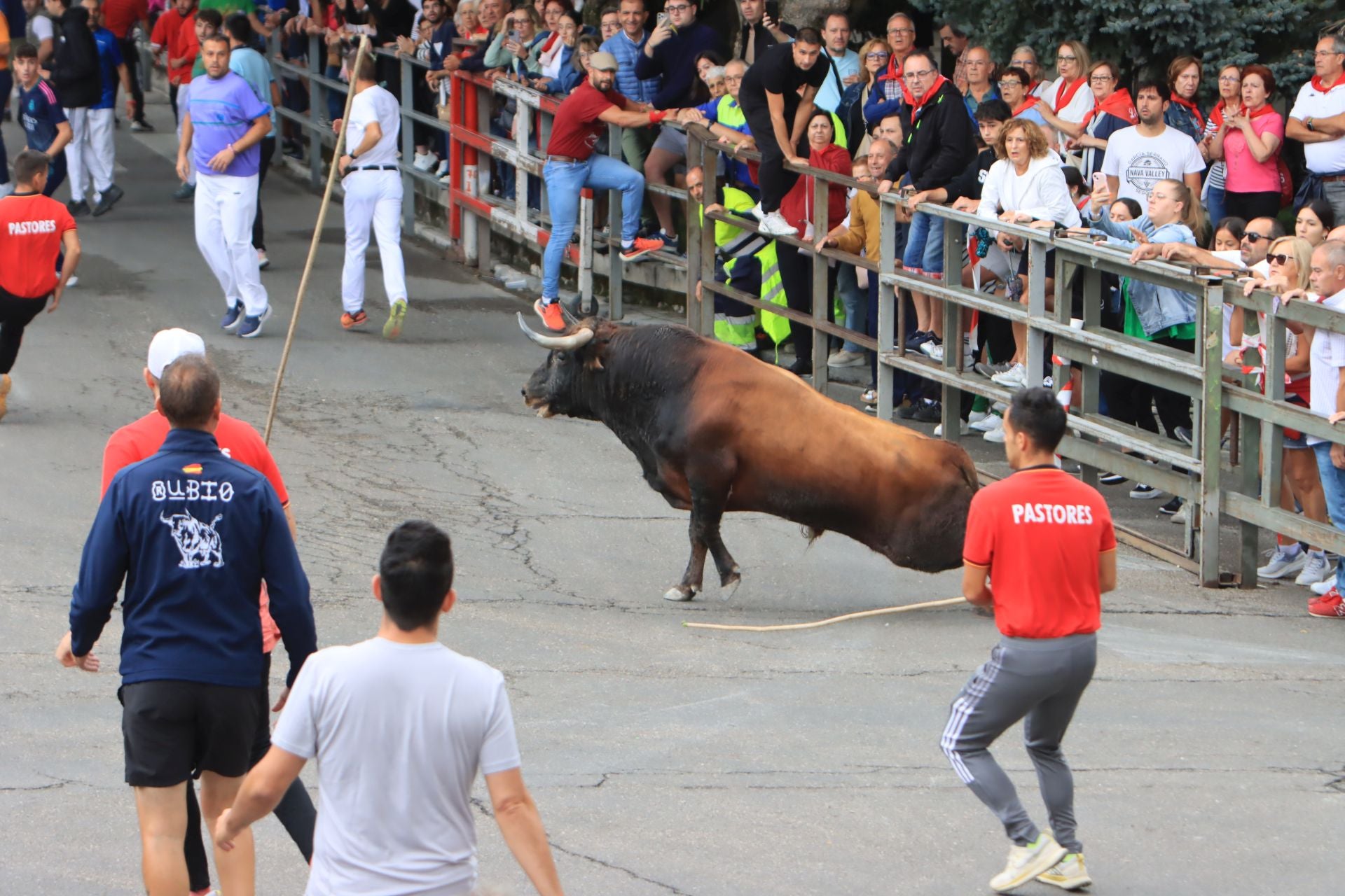 Fotos del quinto y último encierro de Cuéllar (3 de 3)