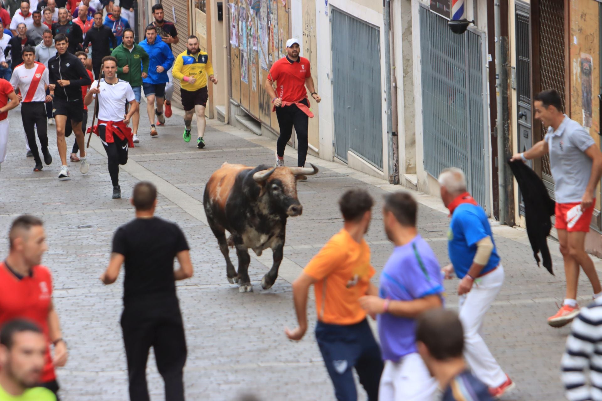 Fotos del quinto y último encierro de Cuéllar (3 de 3)