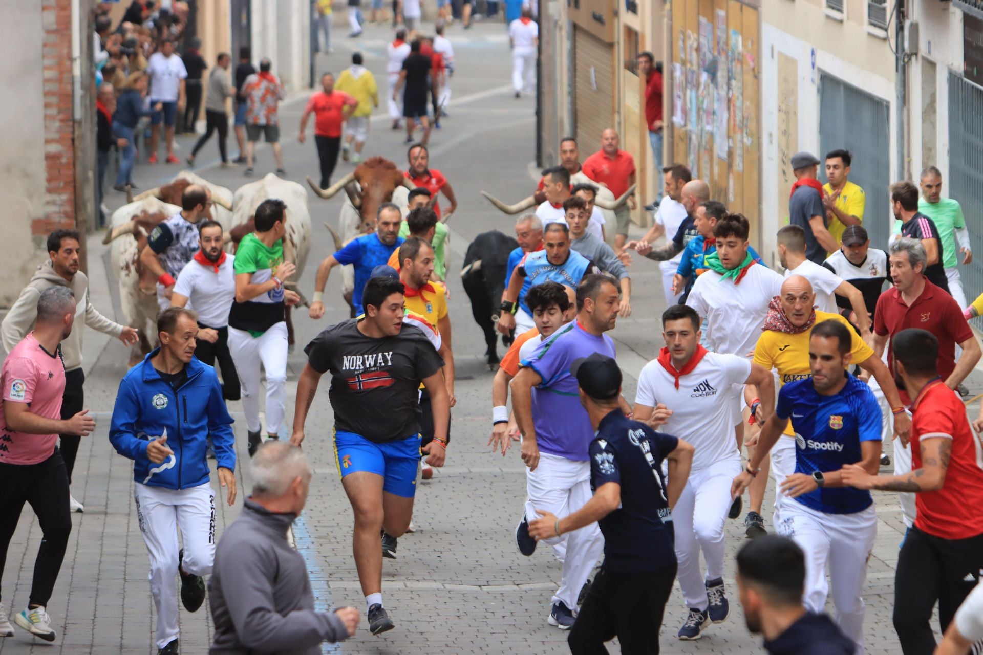 Fotos del quinto y último encierro de Cuéllar (3 de 3)