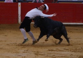 Parrado arquea la espalda durante el concurso celebrado en Pedrajas.