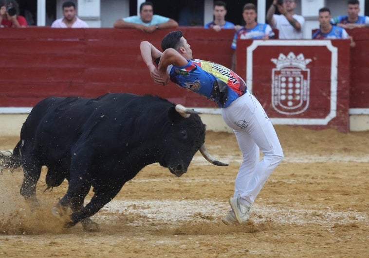 El Concurso de Cortes de las Fiestas de Medina, en imágenes