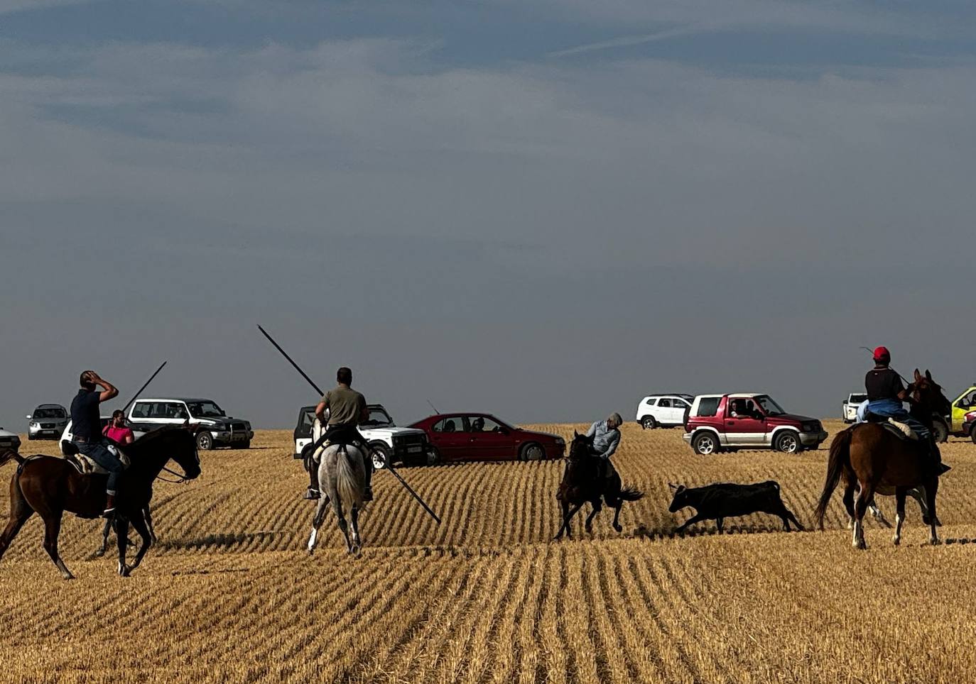 El encierro por el campo de Villalón, en imágenes