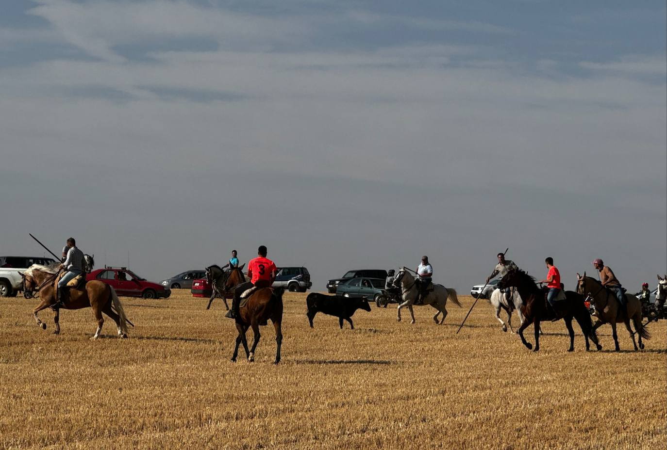 El encierro por el campo de Villalón, en imágenes