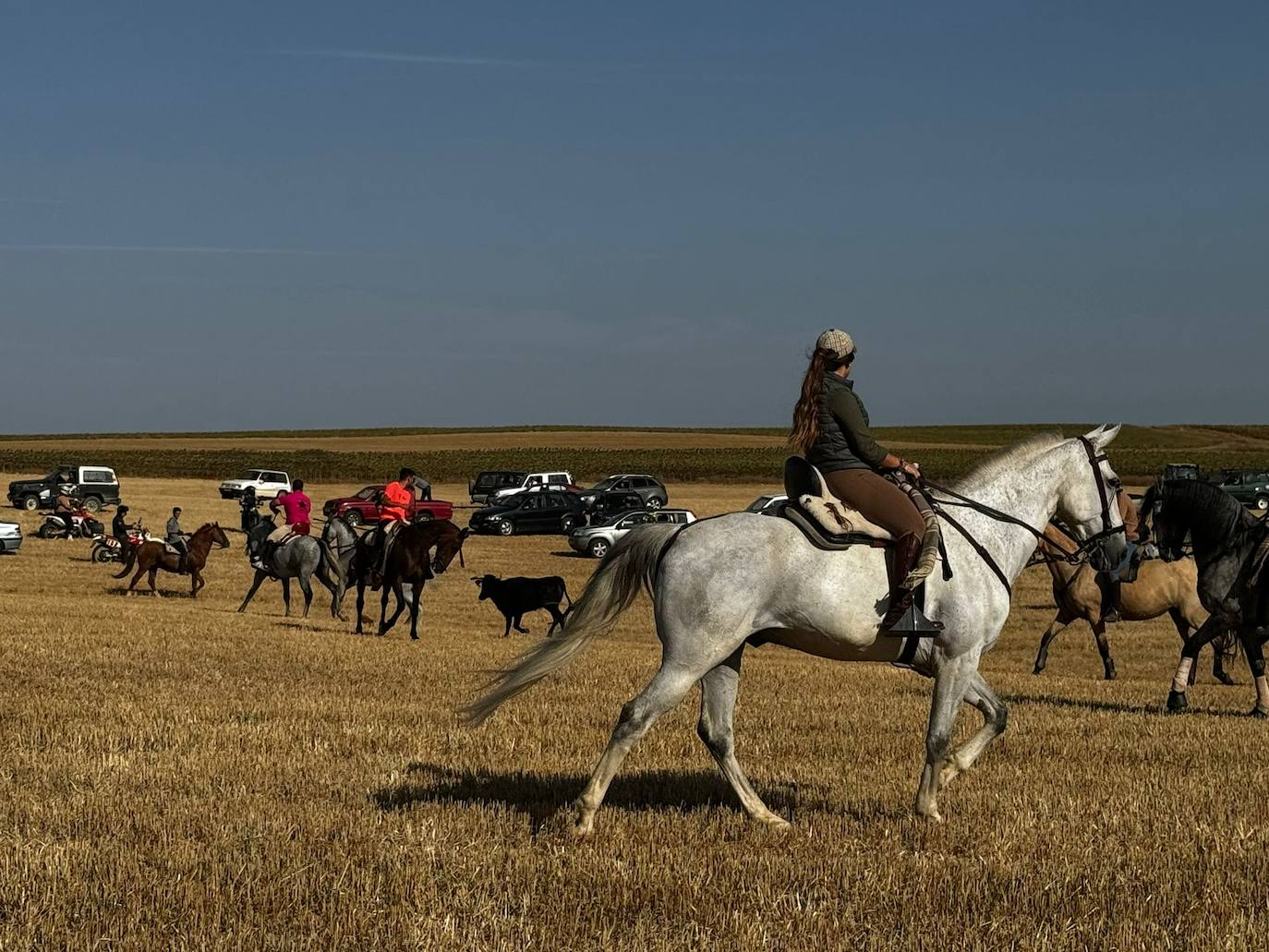 El encierro por el campo de Villalón, en imágenes