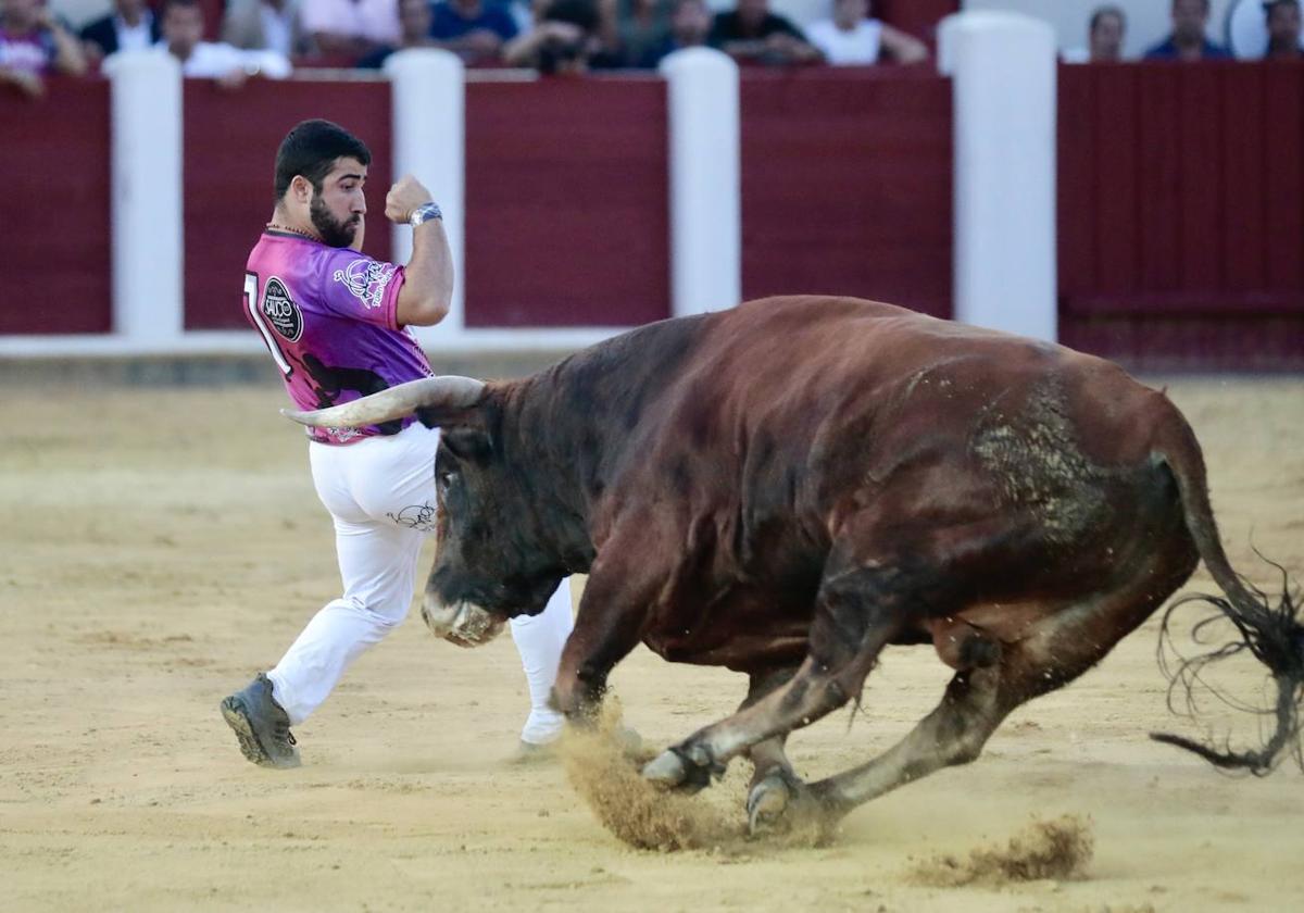 Raúl Fuentes se dispone a cortar a un novillo en el Mundial de Cortes de celebrado en la plaza de toros de Valladolid.