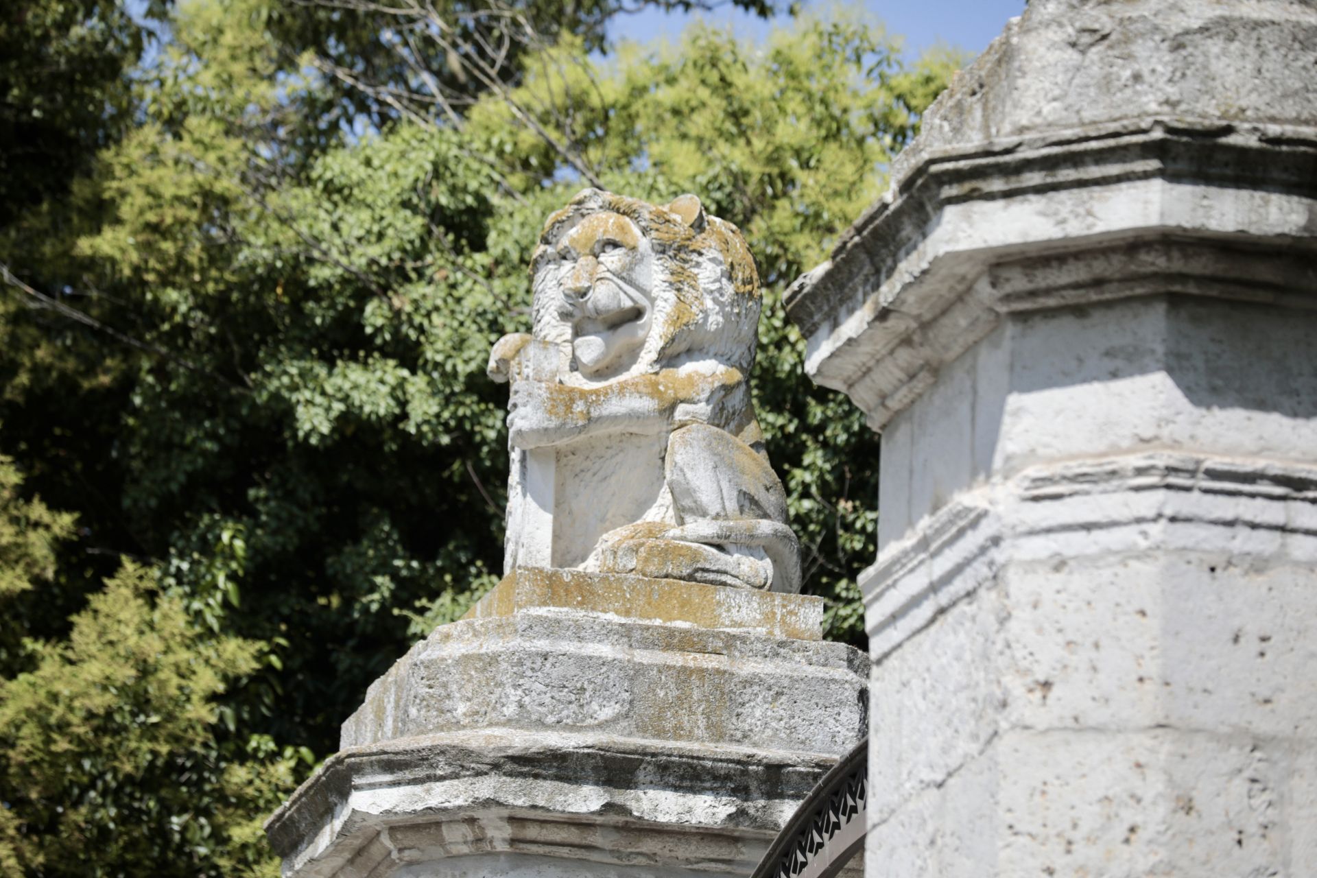 León que vigila la entrada al Campo Grande.