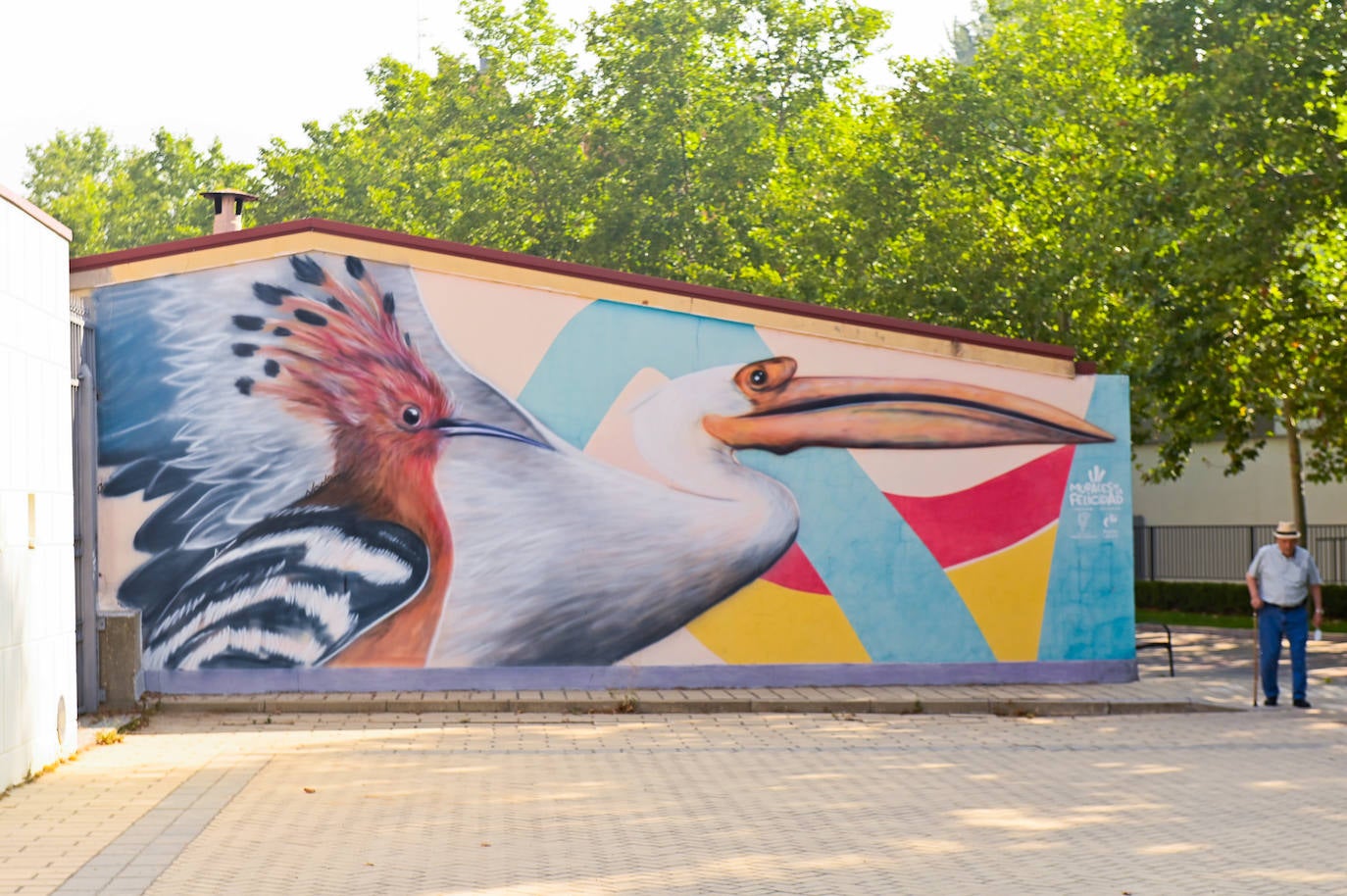 Aves que vigilan desde la paredes del barrio de Pajarillos.