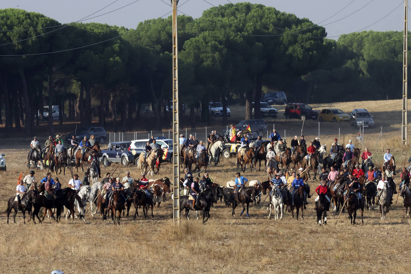 Primer encierro tradicional en las fiestas de Medina del Campo 2024