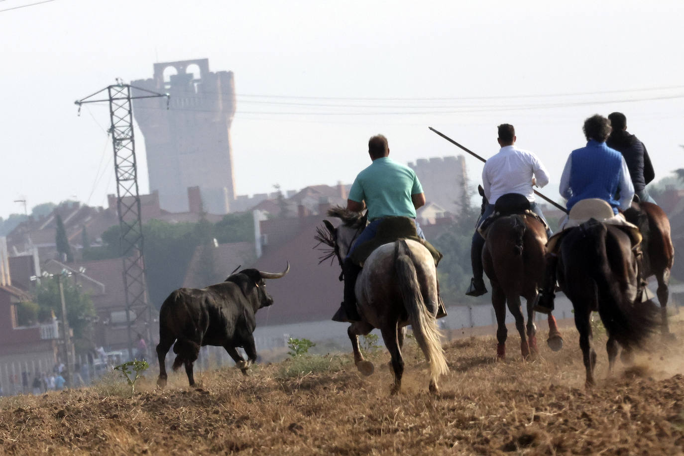 Primer encierro tradicional en las fiestas de Medina del Campo 2024