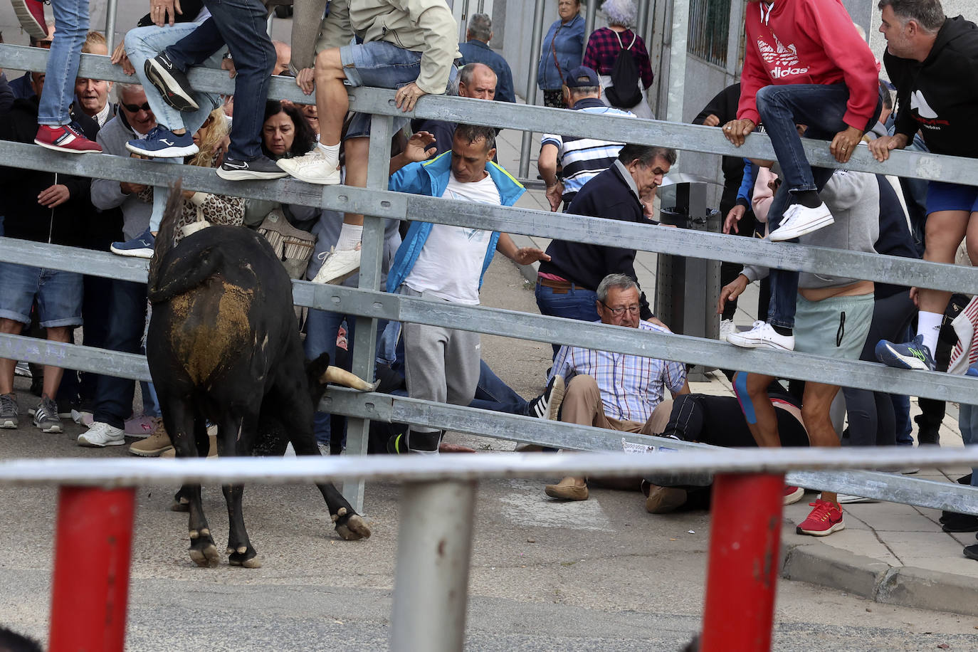 Imágenes del cuarto encierro de Medina del Campo