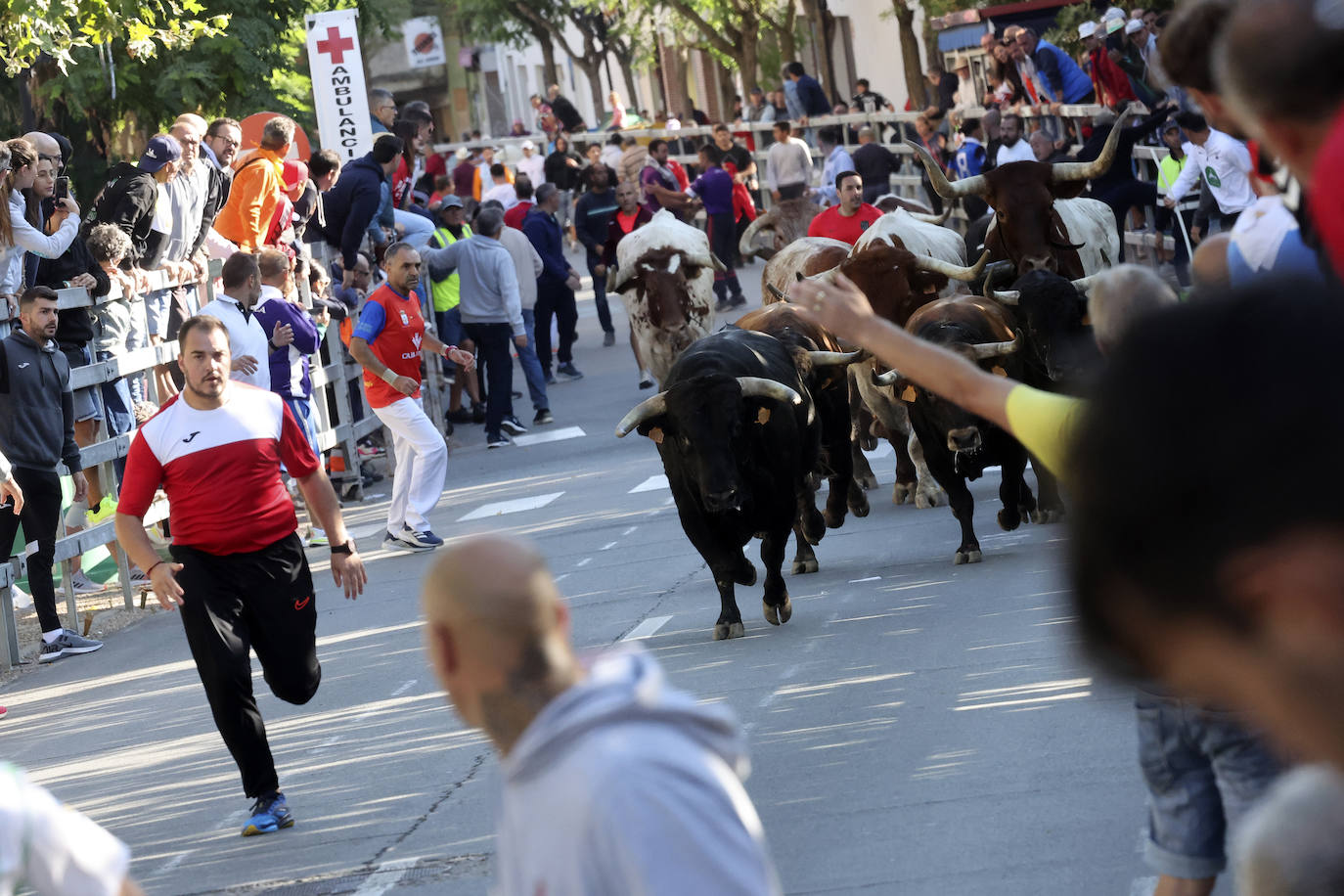 Imágenes del cuarto encierro de Medina del Campo