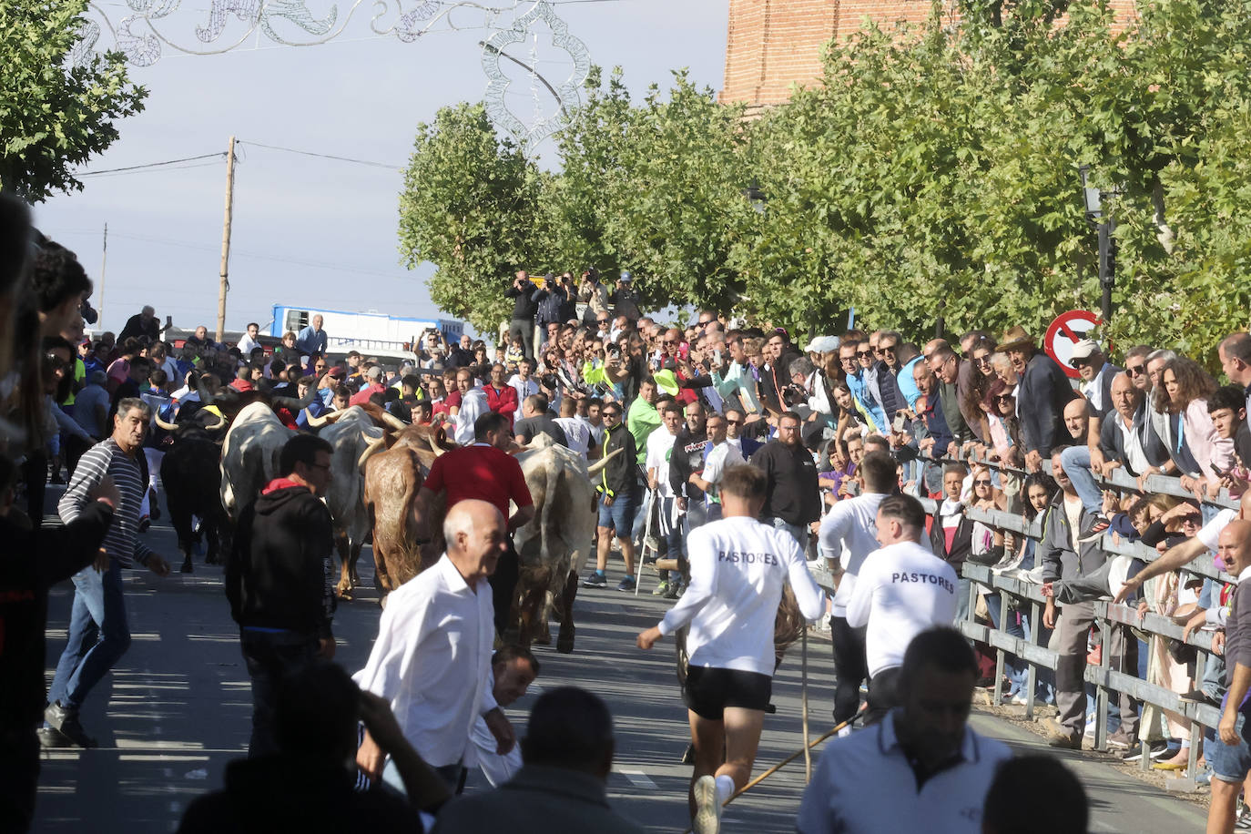 Imágenes del cuarto encierro de Medina del Campo