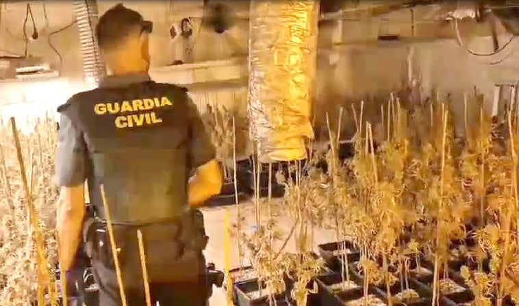 Imagen de la Guardia Civil en la plantación Indoor de marihuana en Peñafiel.