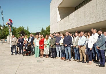 Carlos Pollán, sobre la ley de violencia intrafamiliar: «Lo que era bueno antes, sigue siéndolo ahora»