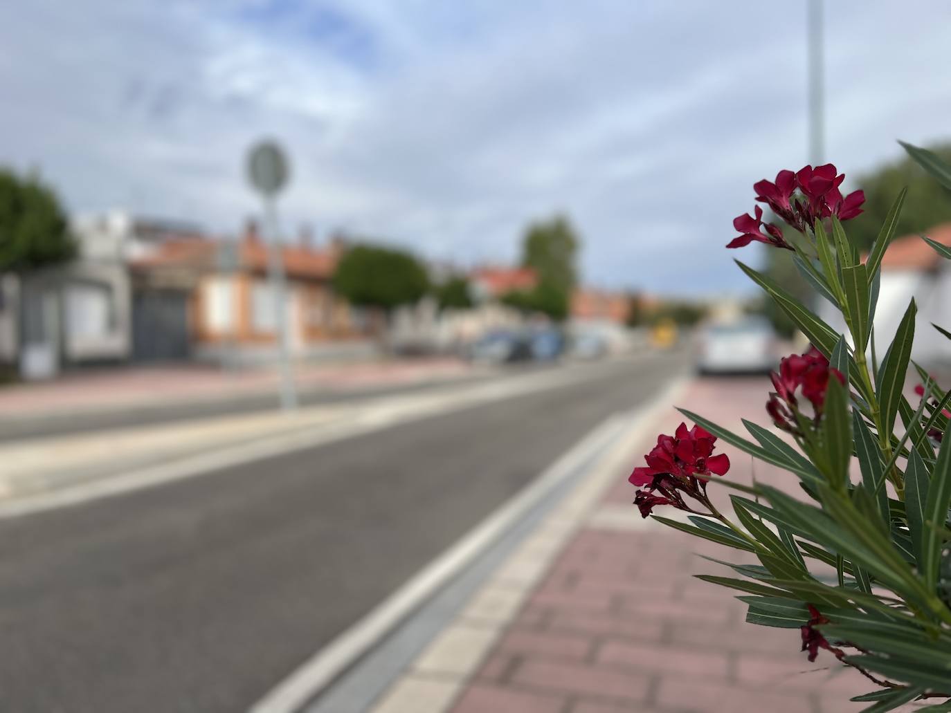 Un recorrido en imágenes por la Overuela, un arrabal en plena expansión