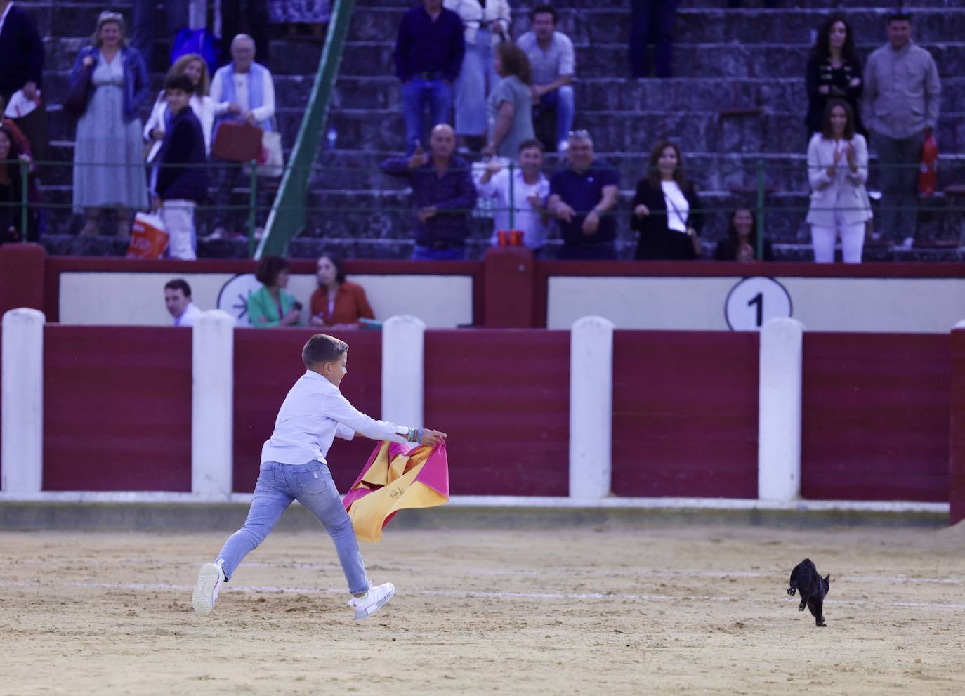 Daniel Luque sale a hombros del coso del Paseo de Zorrilla