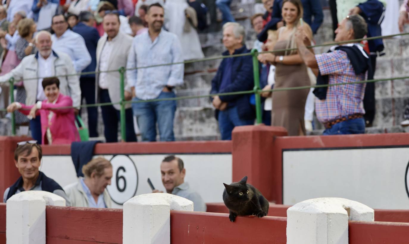 Daniel Luque sale a hombros del coso del Paseo de Zorrilla