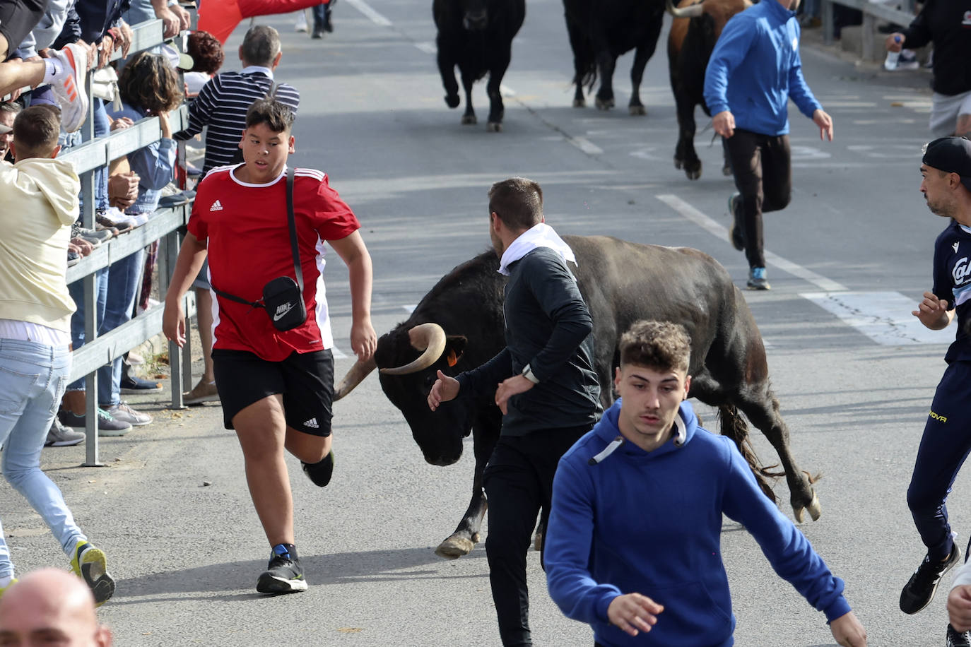 El tercer encierro de Medina del Campo en imágenes