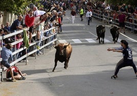 Medina del Campo disfruta de su sexto encierro