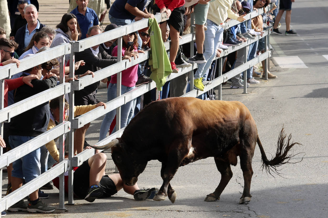 El tercer encierro de Medina del Campo en imágenes