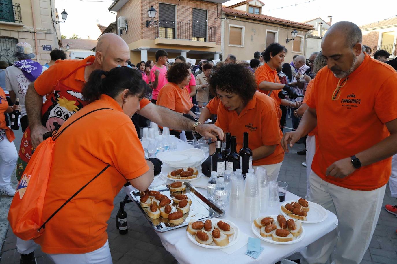 Las imágenes del pregón de Pesquera de Duero