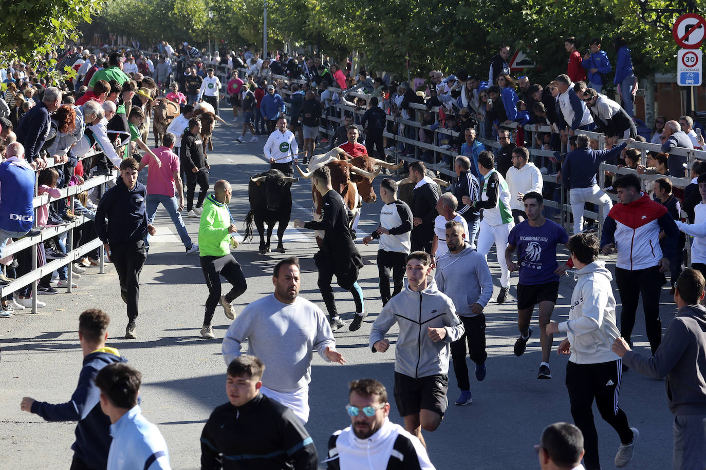 Medina del Campo se anima con otro encierro