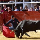 Medina del Campo se anima con otro encierro