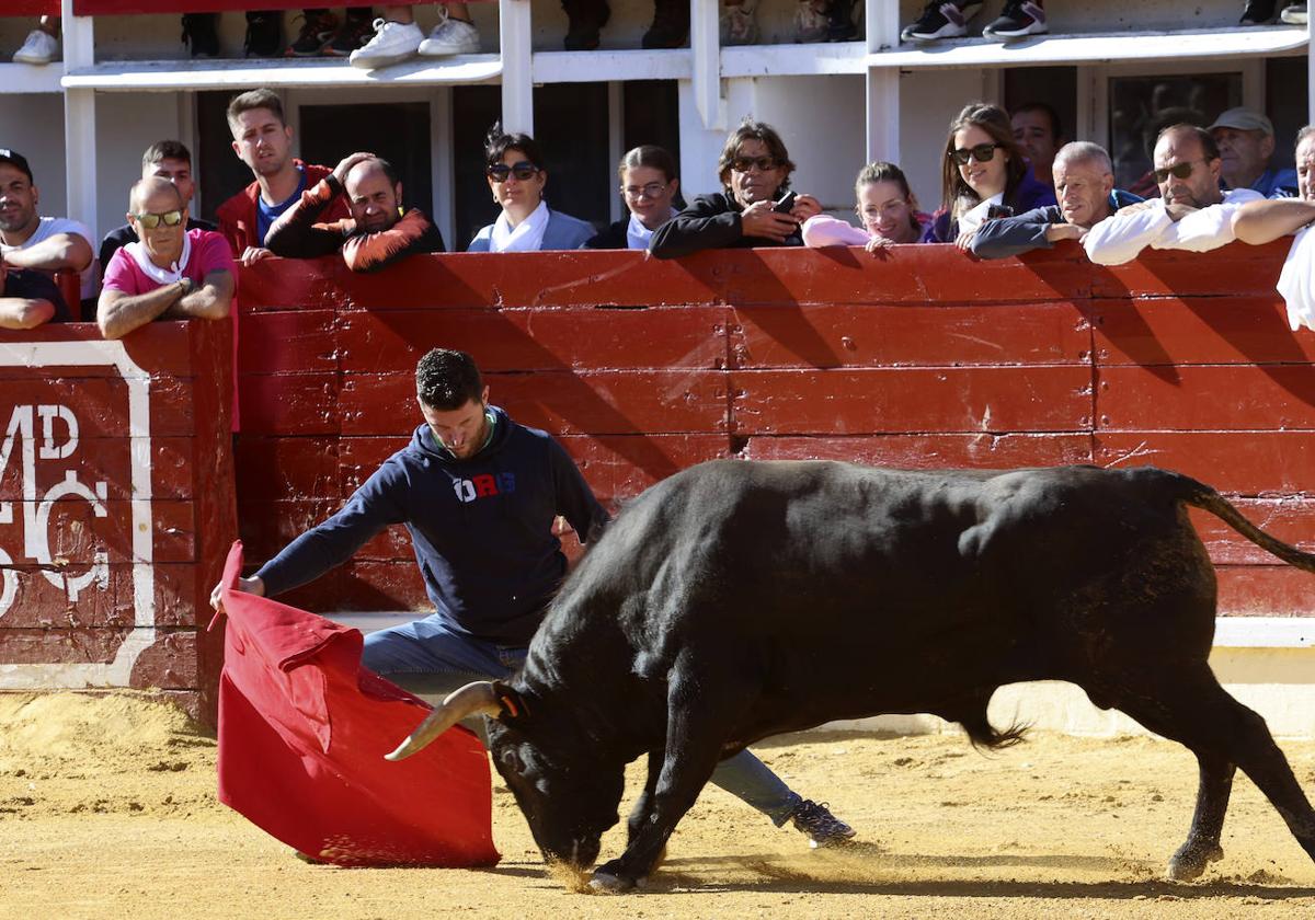 Medina del Campo se anima con otro encierro