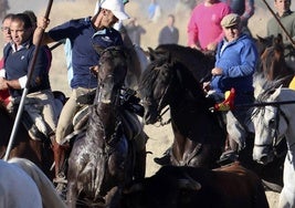 Momneto de la cogida a uno de los caballos, este domingo en Medina del Campo.