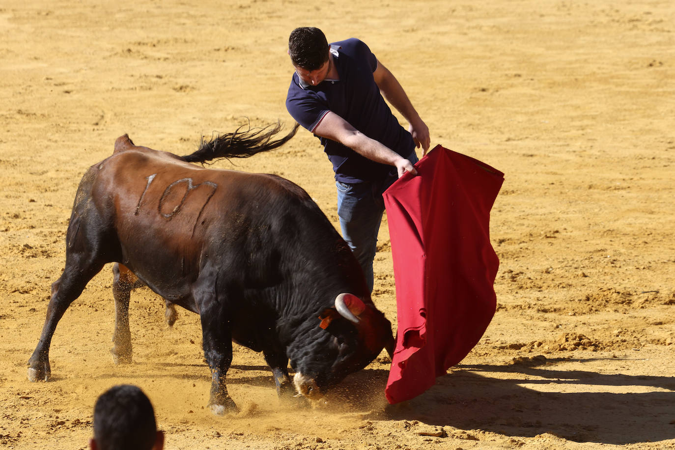 Encierro del domingo en Medina del Campo