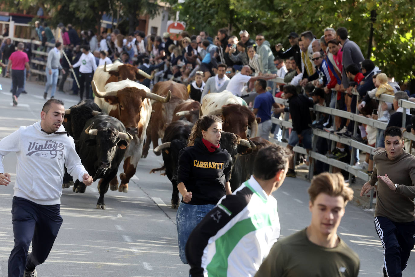 Encierro del domingo en Medina del Campo