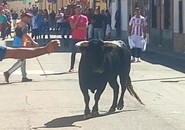 Un momento del encierro celebrado en Laguna.