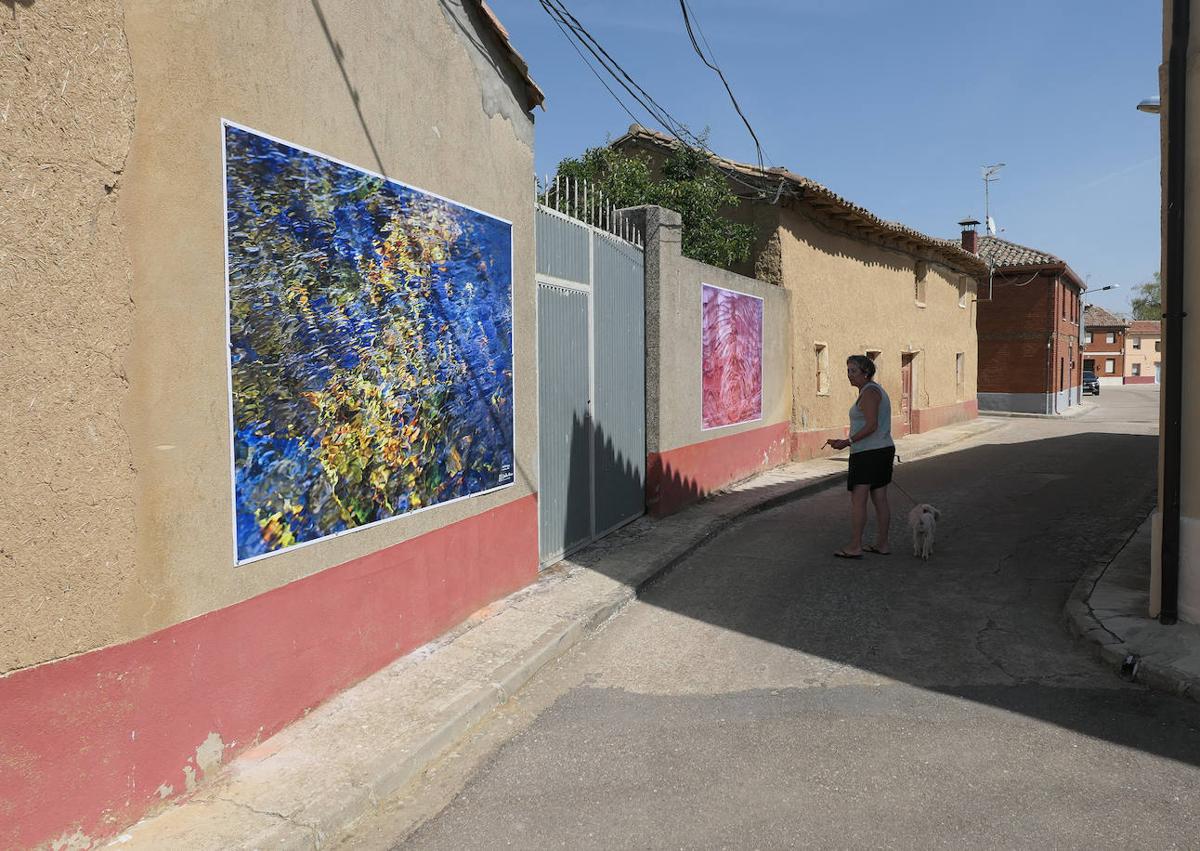Imagen secundaria 1 - Algunos de los murales expuestos