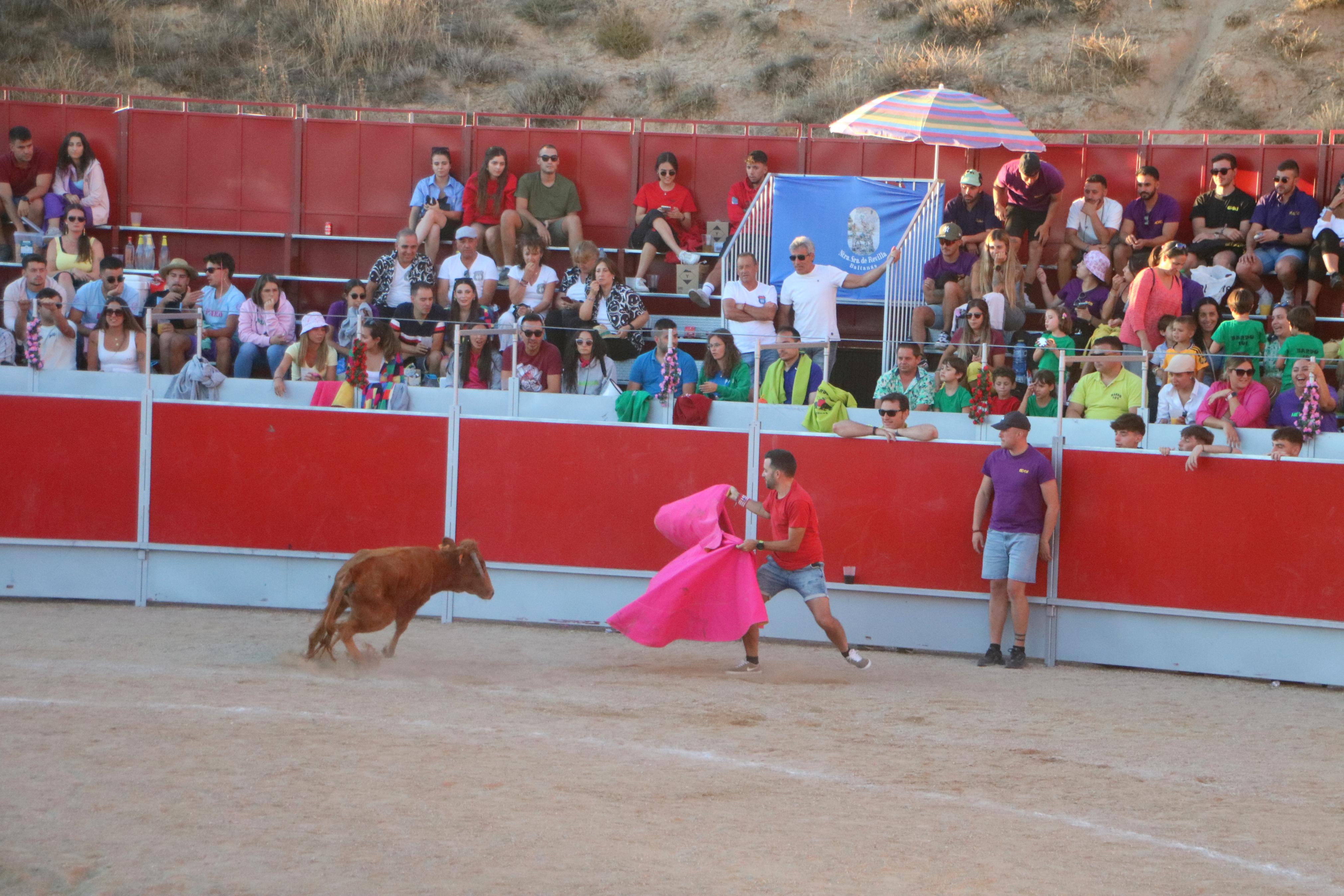 Baltanás celebró tres Festejos Taurinos