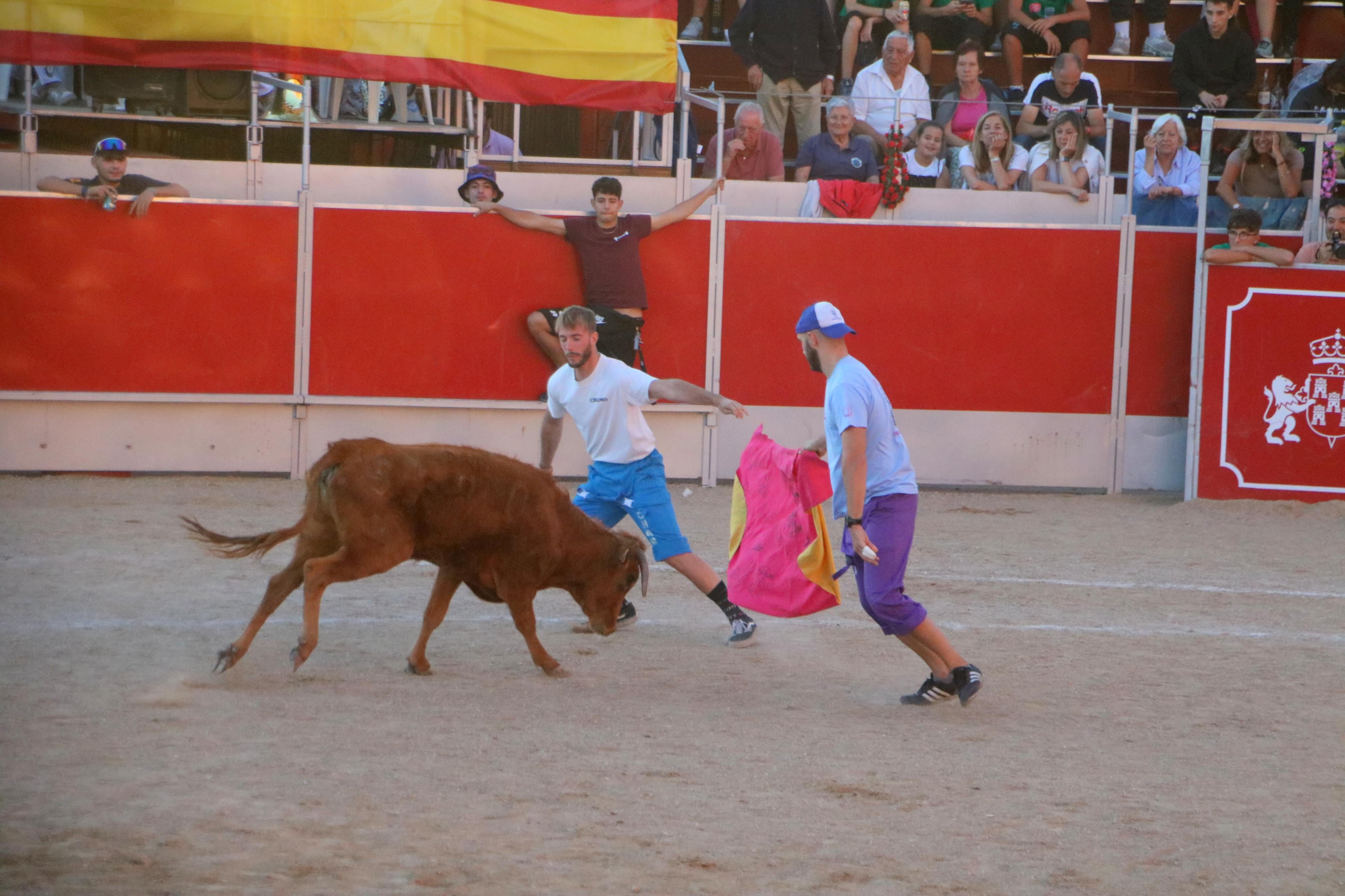 Baltanás celebró tres Festejos Taurinos