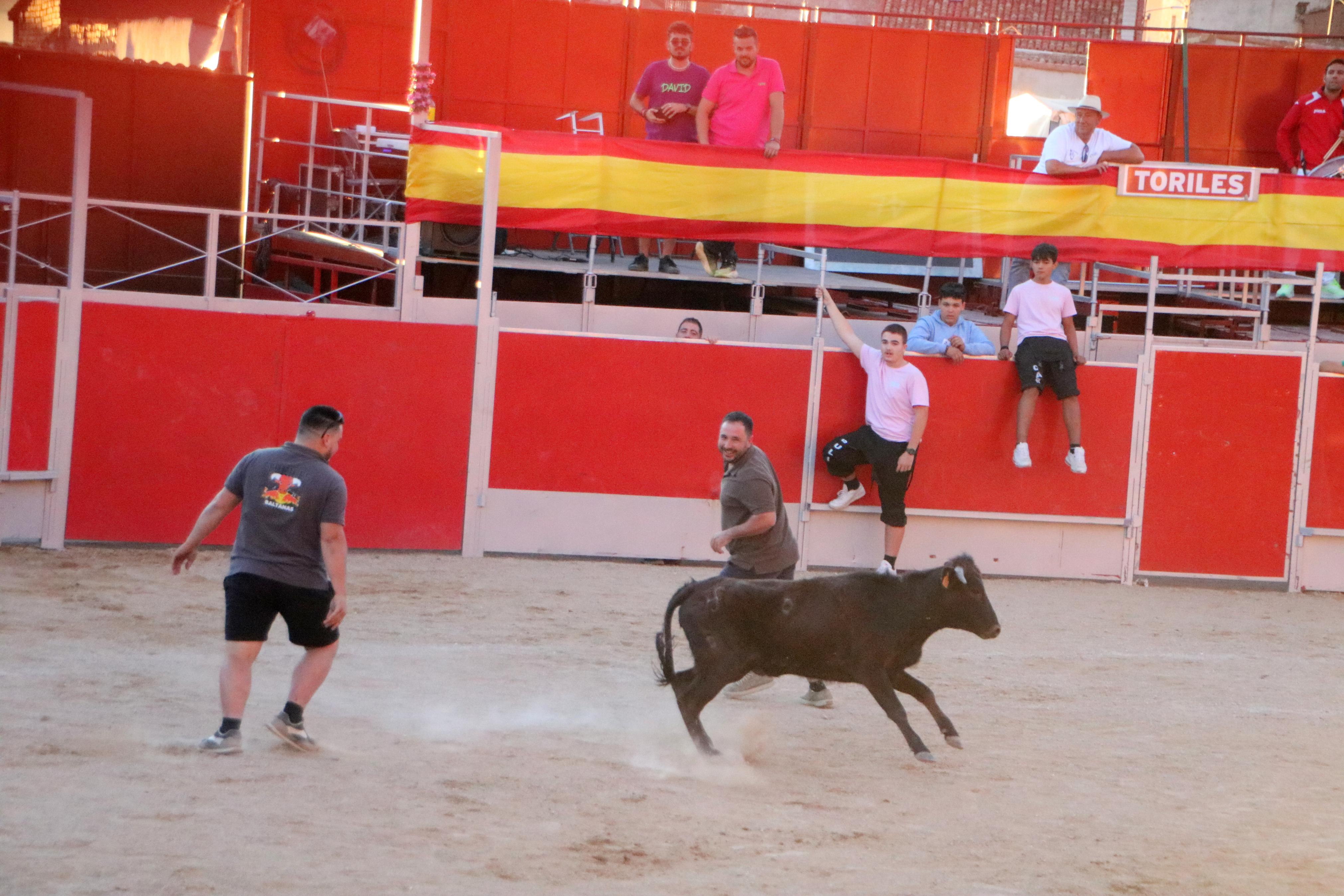 Baltanás celebró tres Festejos Taurinos