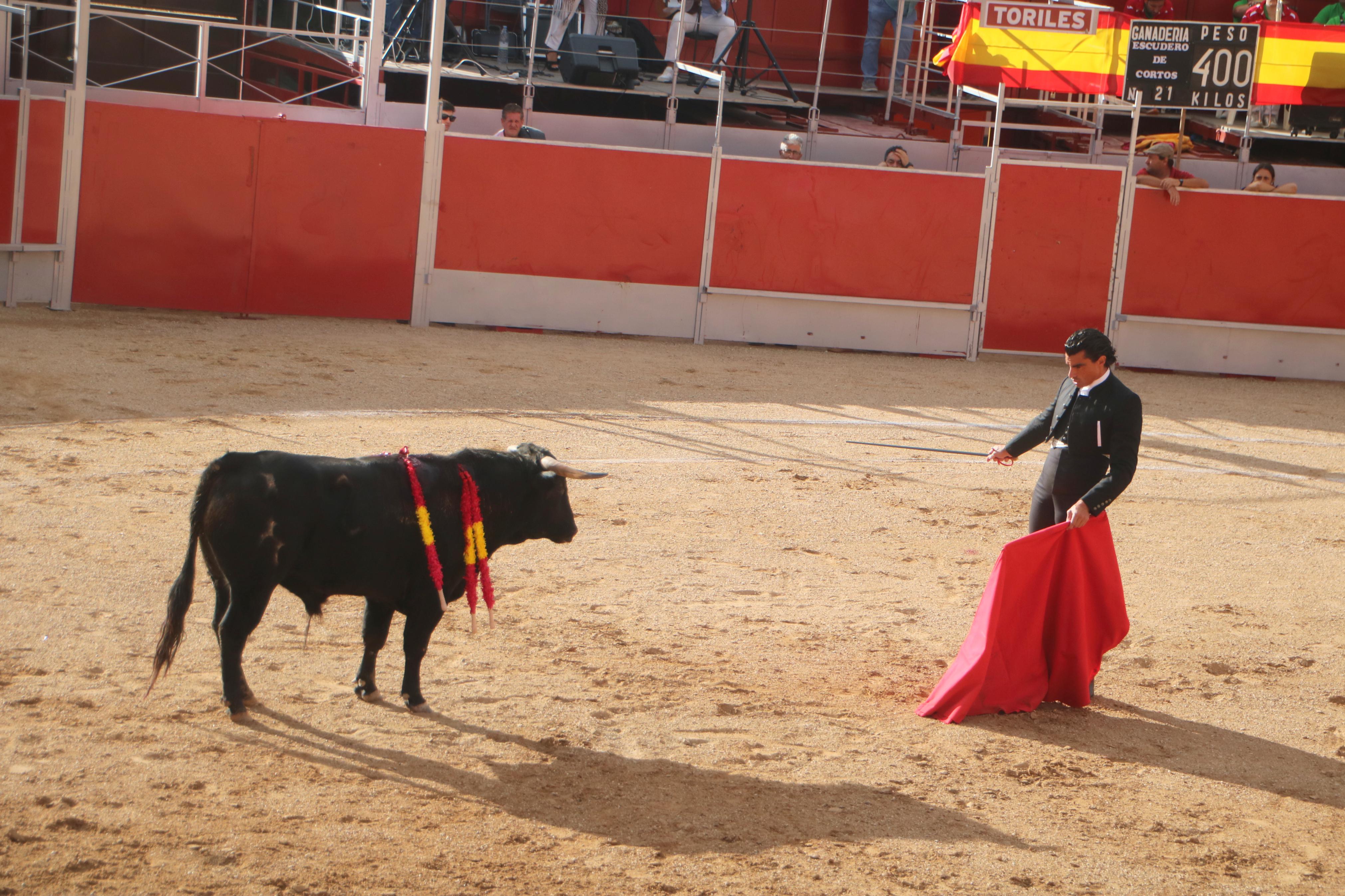 Baltanás celebró tres Festejos Taurinos
