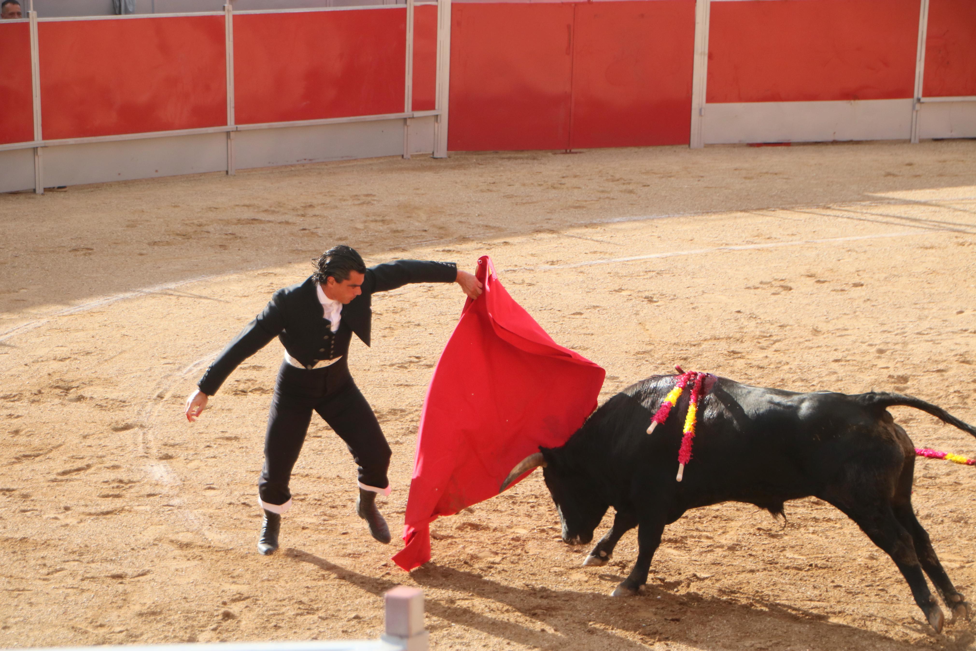 Baltanás celebró tres Festejos Taurinos
