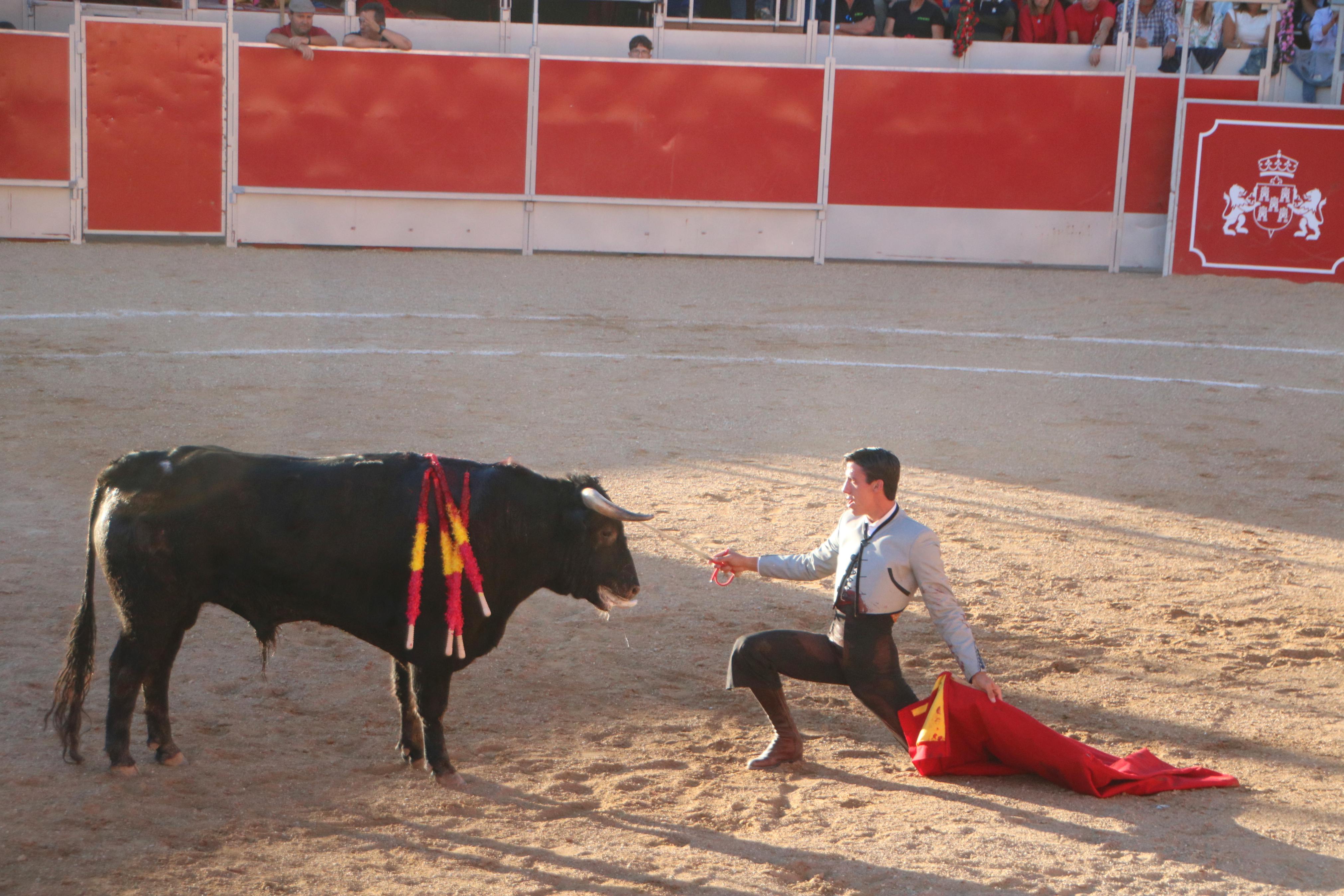 Baltanás celebró tres Festejos Taurinos