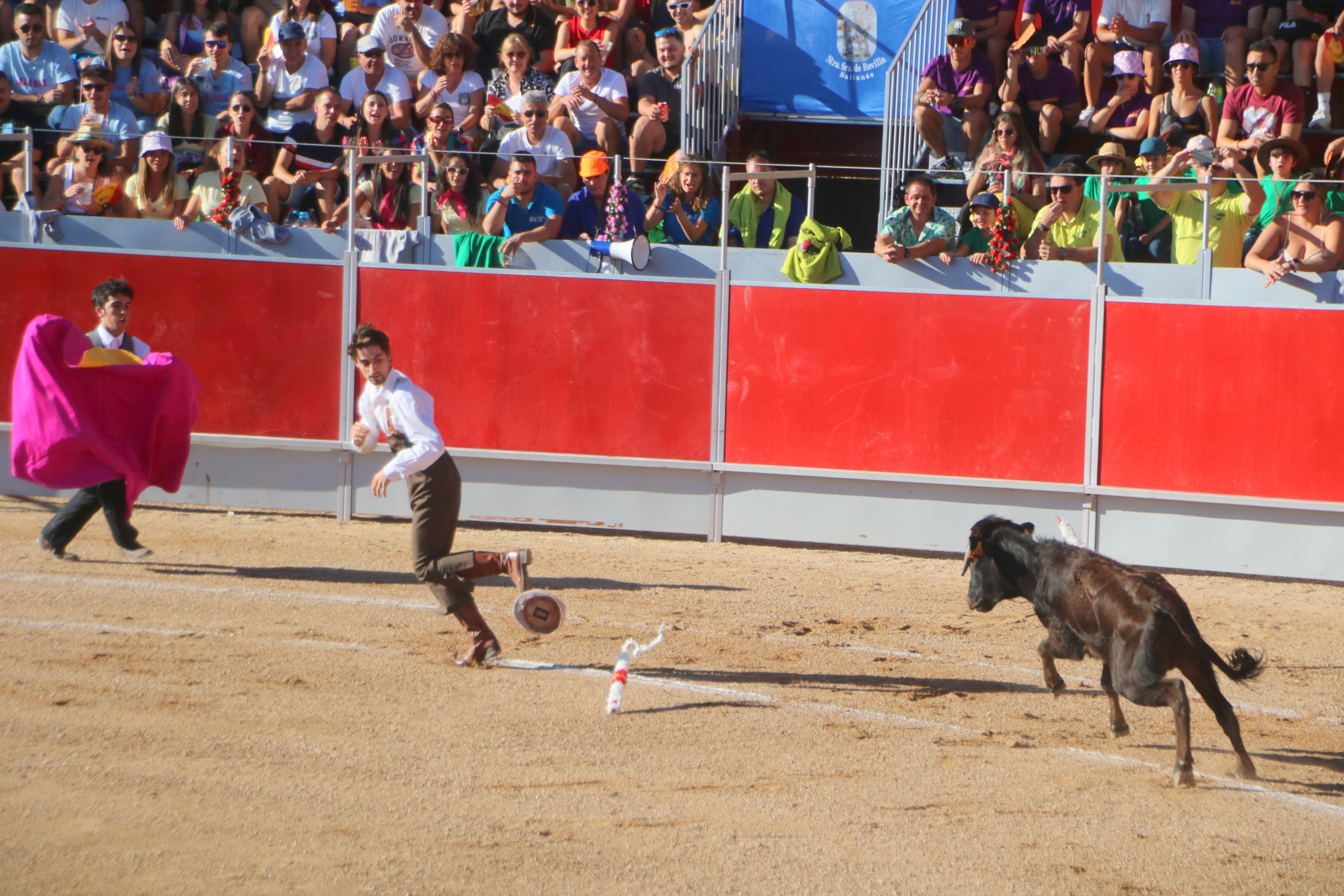 Baltanás celebró tres Festejos Taurinos