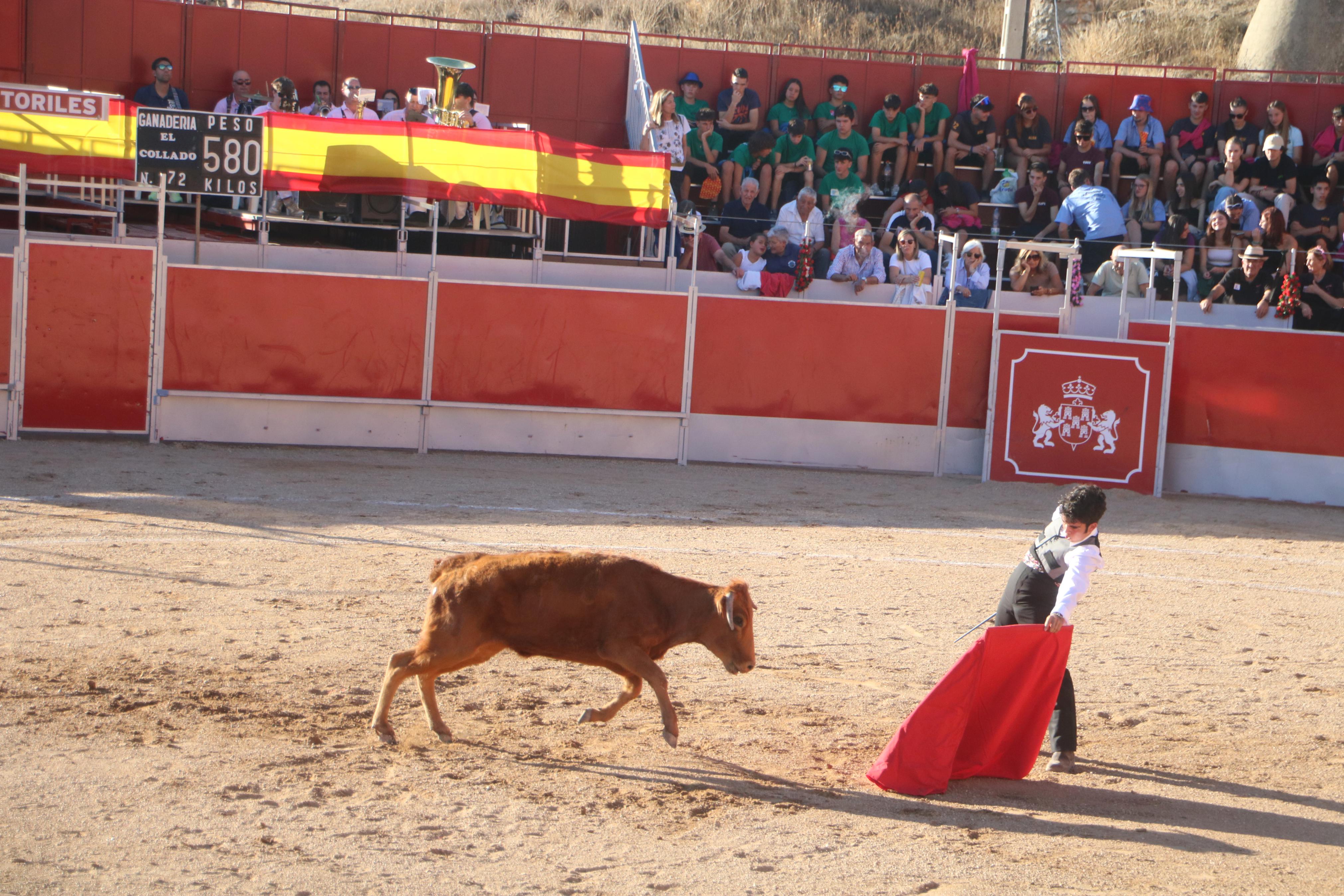 Baltanás celebró tres Festejos Taurinos