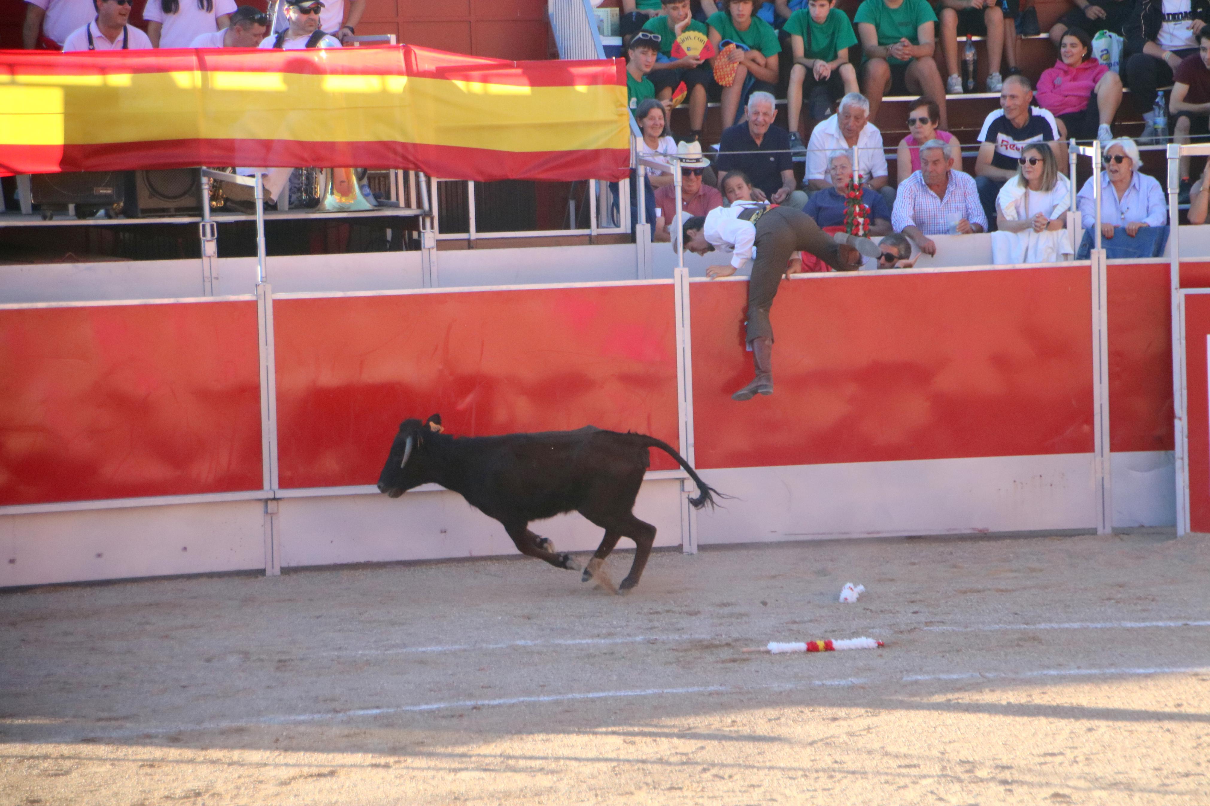 Baltanás celebró tres Festejos Taurinos