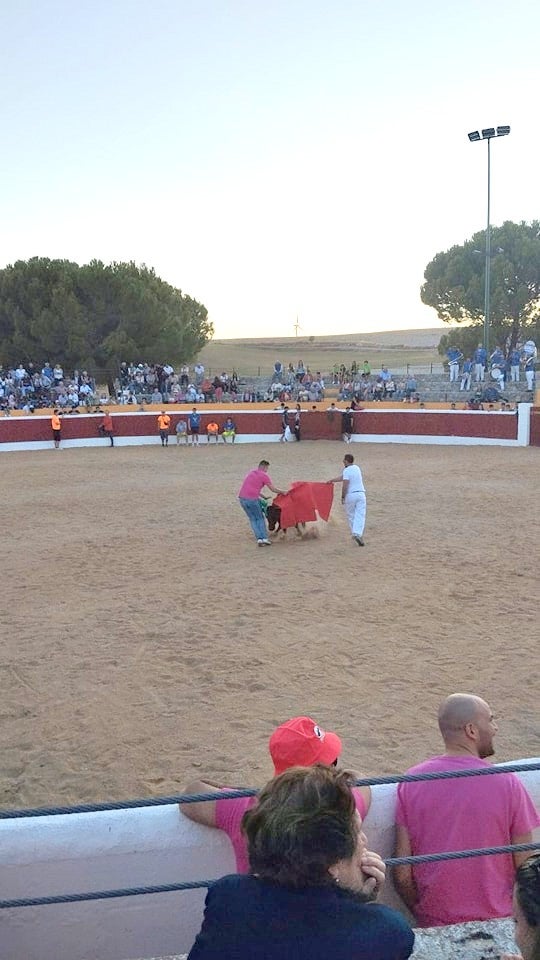 Ampudia se rinde a la Virgen de Alconada