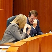 Castilla y León aprueba la ley para blindar los servicios públicos entre críticas por su ineficacia