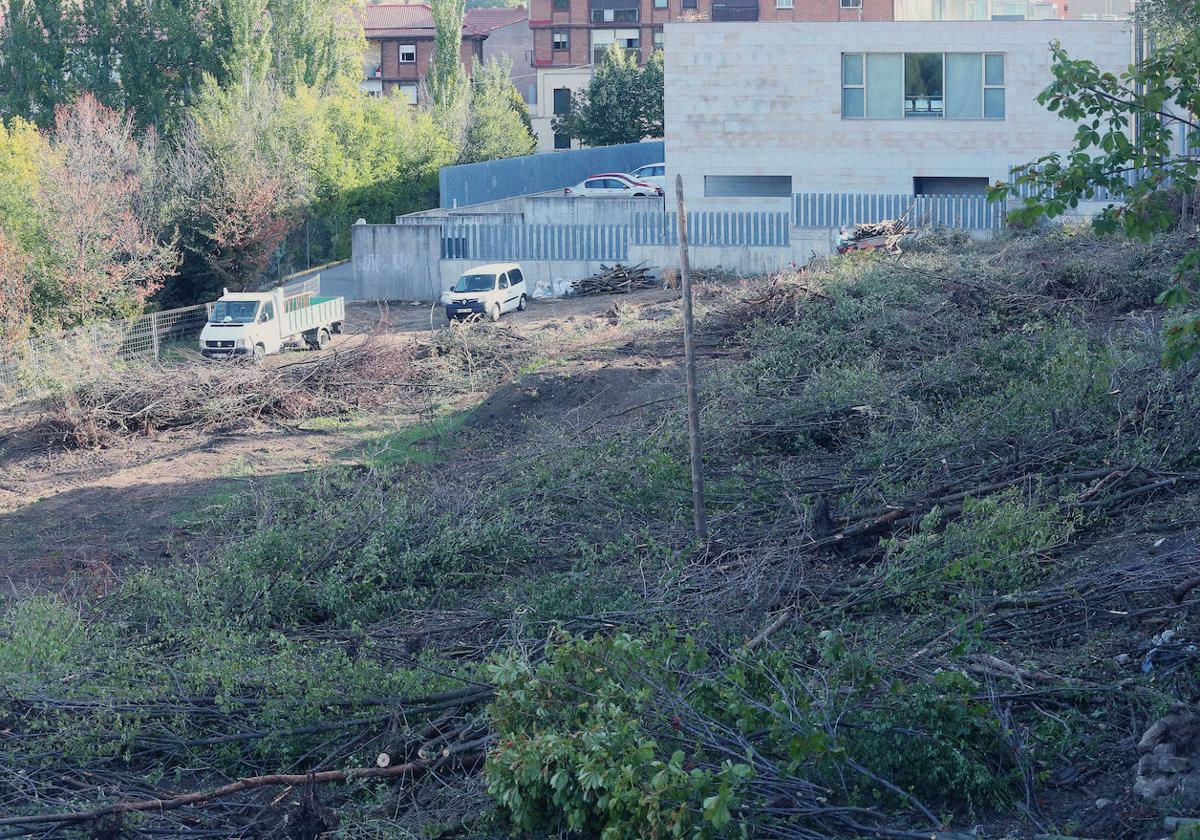 Fotografías del desbroce entre Vía Roma y Los Novillos