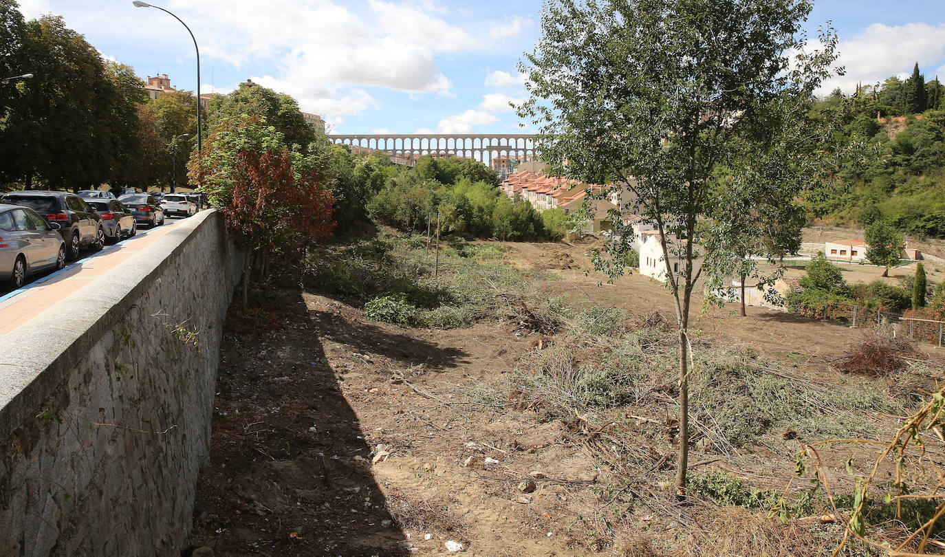 Fotografías del desbroce entre Vía Roma y Los Novillos