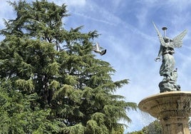 Dos de los árboles más valiosos, un cedro y un abeto, se encuentran junto a la Fuente de la Fama.